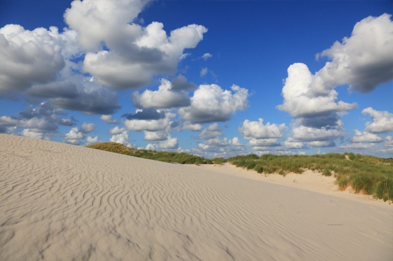 Amrum