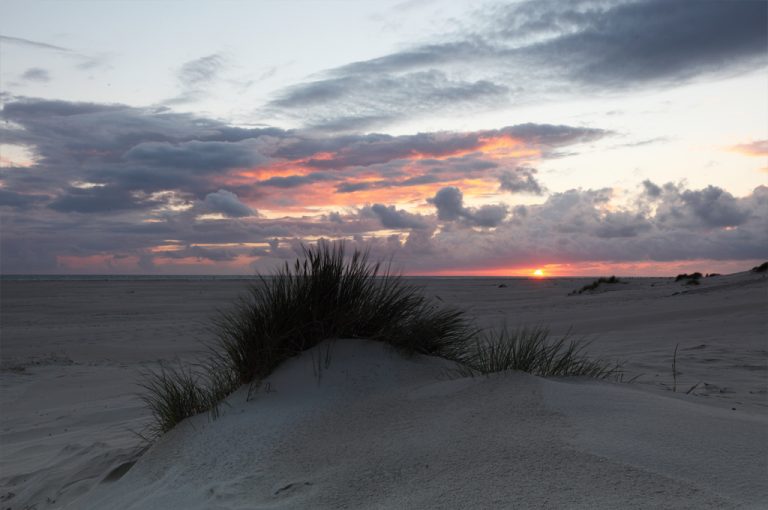 Amrum